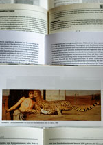 Foto mehrerer Printlayouts