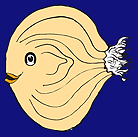Zwiebelfisch Logo